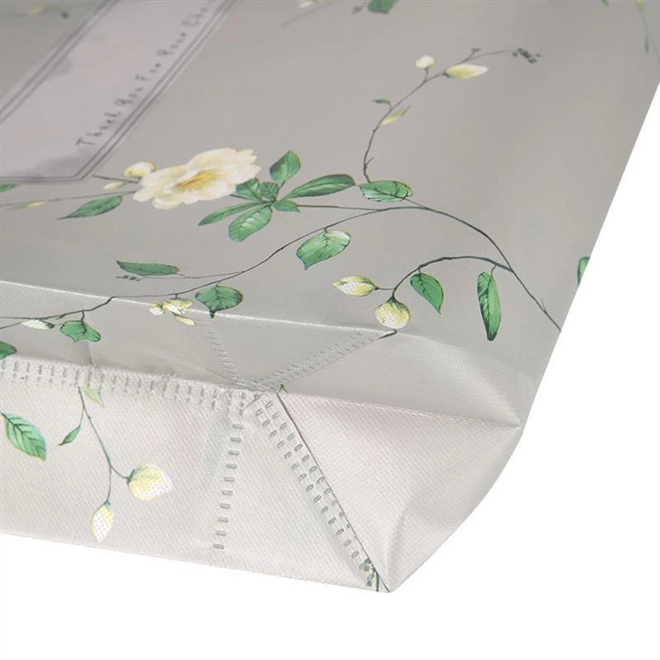 Best Laminated Non Woven Bag